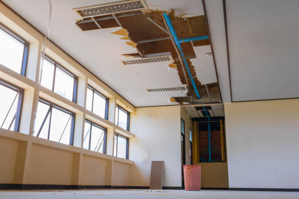 Best Professional water damage repair  in East Los Angeles, CA