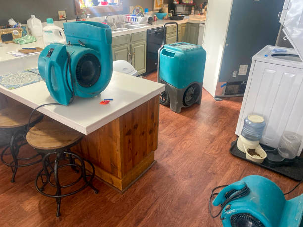 Best Flooded house restoration  in East Los Angeles, CA