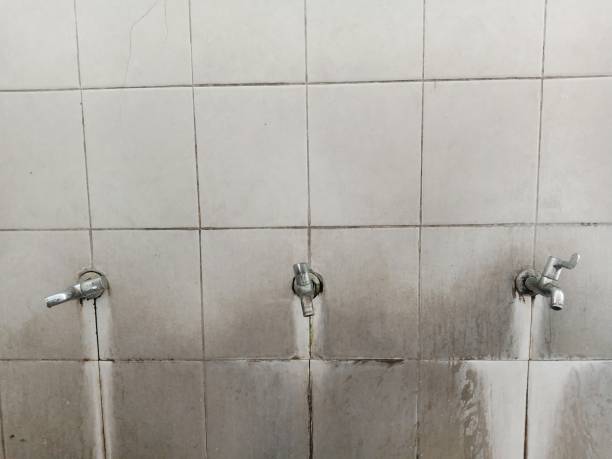 Reliable East Los Angeles, CA Water damage restoration Solutions